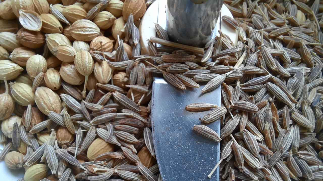 Чем отличается зира от кориандра?