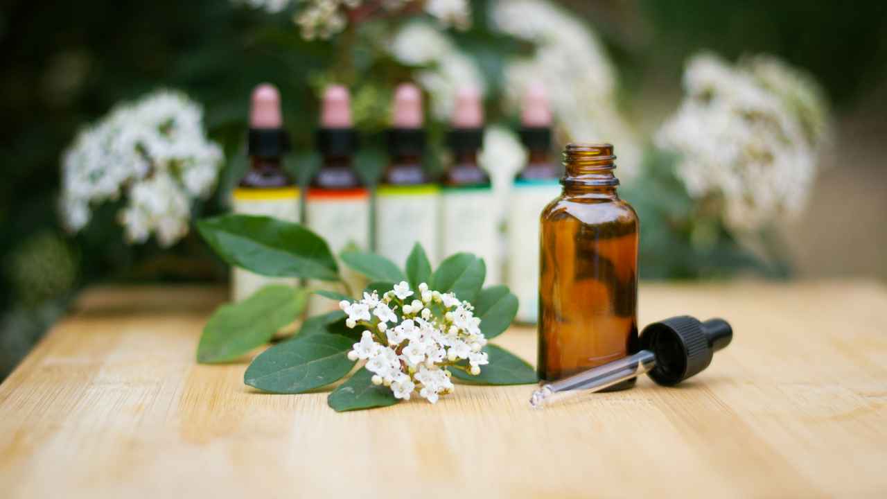 Чем отличается аюрведа от гомеопатии?