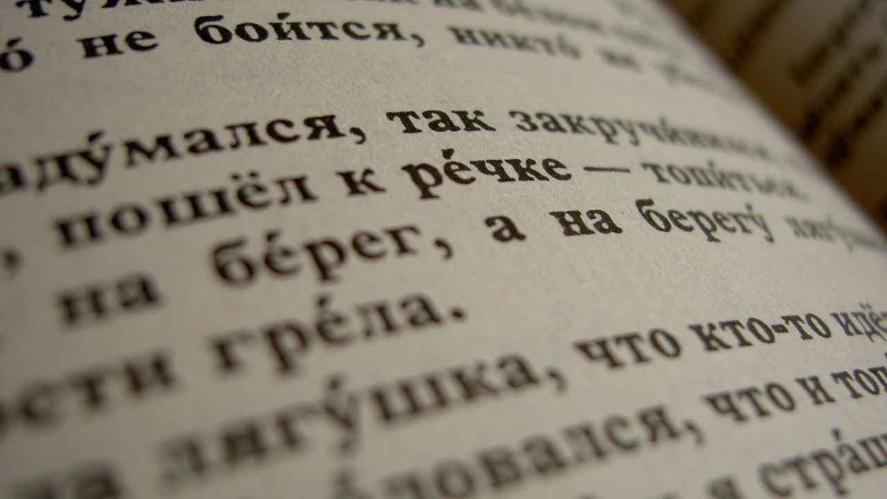 Чем отличаются существительные от прилагательных?