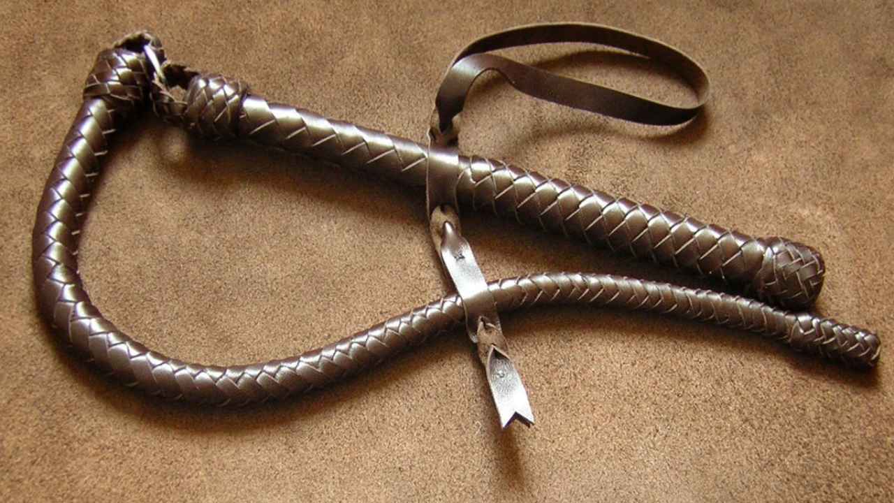 Чем отличается арапник от нагайки?